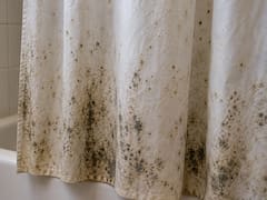 Cómo eliminar el moho de la cortina de baño: el método para limpiarla y evitar que vuelva a aparecer