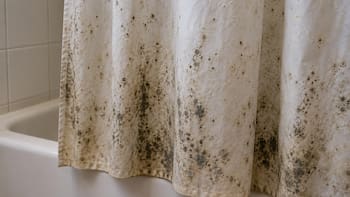 Cómo eliminar el moho de la cortina de baño: el método para limpiarla y evitar que vuelva a aparecer