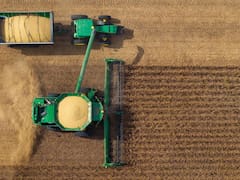 La agricultura estadounidense enfrenta la pérdida de su liderazgo global