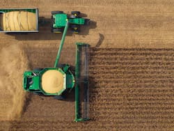 ¿El agro argentino podría duplicar su producción? La visión de sus referentes para recuperar terreno frente a Brasil