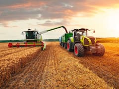 Los granos argentinos, ante una oportunidad única: qué sectores están rompiendo sus “techos”