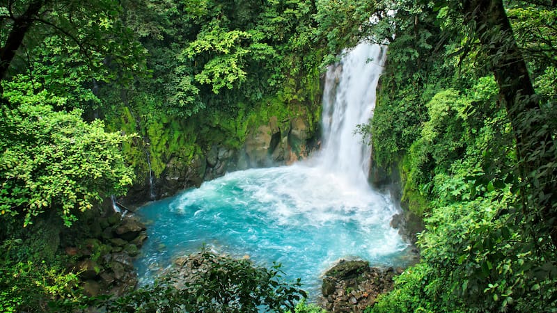 Buscan voluntarios para vivir en un paraíso natural de Costa Rica.