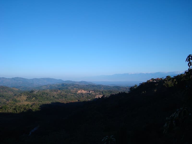 La comparación entre las dos parcelas mostró una diferencia contundente (Fuente: Wikimedia Commons).