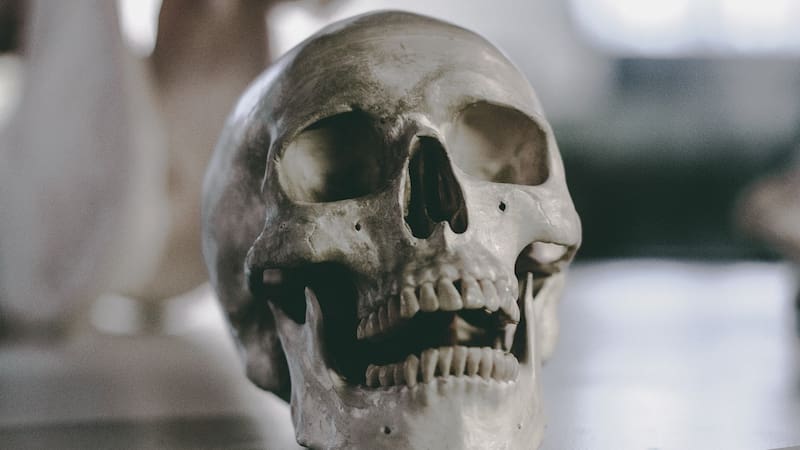 <div class="migrated-promo-image__description"><div class="migrated-promo-image__source">Fuente: Pexels</div></div>