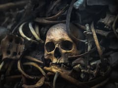 México encontró el cráneo de la “muerte”: es color turquesa, tiene dientes grandes, ojos saltones y su descubrimiento puede cambiar el mundo arqueológico