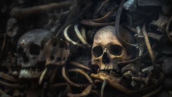 México encontró el cráneo de la “muerte”: es color turquesa, tiene dientes grandes, ojos saltones y su descubrimiento puede cambiar el mundo arqueológico