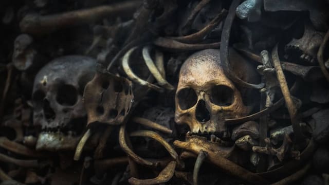 México encontró el cráneo de la “muerte”: es color turquesa, tiene dientes grandes, ojos saltones y su descubrimiento puede cambiar el mundo arqueológico