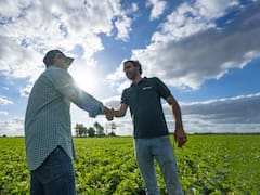 Ocho de cada diez créditos en el agro son en dólares: las razones del boom