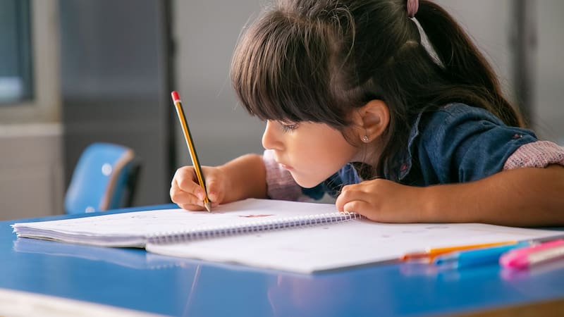 El sistema educativo público realizó un ajuste clave en su oferta académica. (Fuente: Shutterstock)