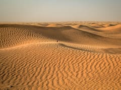 El Sáhara alcanzó 70 °C, murieron miles de millones de árboles y solo una técnica frenó la extinción de la vida en el desierto