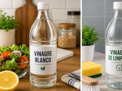 Cuál es la diferencia entre el vinagre blanco y el vinagre de limpieza: para qué sirve cada uno