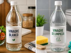 Cuál es la diferencia entre el vinagre blanco y el vinagre de limpieza y para qué sirve cada uno