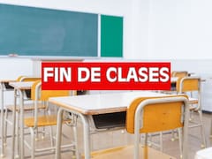 Provincia por provincia: cuándo terminan las clases
