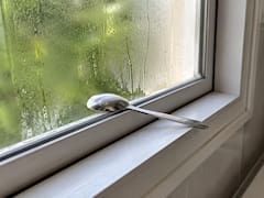 Poner una cuchara en la ventana del baño: para qué sirve y por qué lo recomiendan