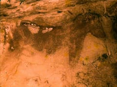 Descubren ADN humano de miles de años en las paredes de cuevas de España y Portugal: un hallazgo que abre nuevas pistas sobre la prehistoria