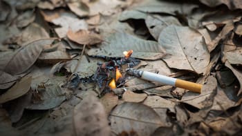 La Ley de Propiedad Horizontal sentencia: Los vecinos que tiren colillas de cigarro al patio pueden enfrentarse a sanciones económica