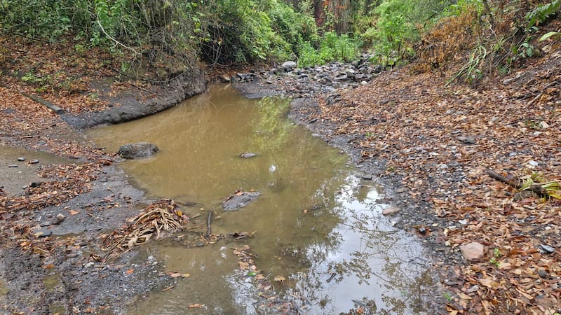 Los equipos técnicos realizarán aforos y verificaciones para determinar la disponibilidad de agua.