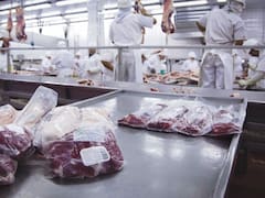 El precio de la carne y el límite del mercado: cómo impacta el boom exportador en el mostrador