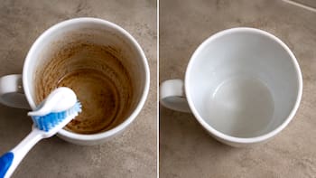 Poner pasta dental en una taza manchada de café: para qué sirve y por qué lo recomiendan