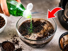Mezclar café usado con detergente lavavajillas: para qué sirve y por qué muchos lo recomiendan