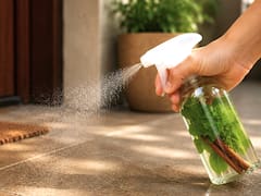 Rociar agua con menta y canela en la entrada de la casa: para qué sirve y por qué lo recomiendan