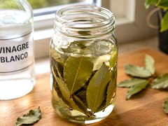Mezclar vinagre blanco y hojas de laurel: para qué sirve y por qué lo recomiendan
