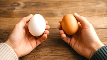 Comprar maples de huevos blancos o huevos marrones: qué diferencia hay y cuál se recomienda