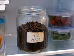 Poner un frasco con café usado en la heladera: para qué sirve y por qué lo recomiendan