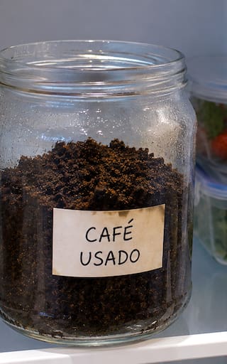 Poner un frasco con café usado en la heladera: para qué sirve y por qué lo recomiendan