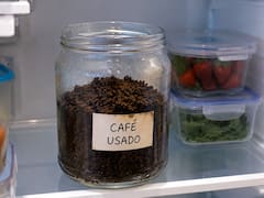 Poner un frasco con café usado en la heladera: para qué sirve y por qué lo recomiendan