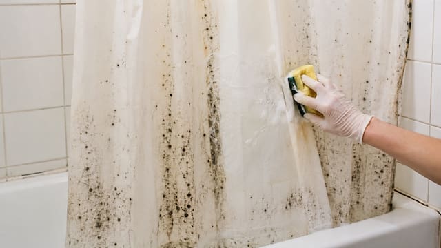 Ni sólo bicarbonato ni sólo vinagre: la mejor manera de eliminar los hongos de la cortina de la ducha y evitar que se ponga fea