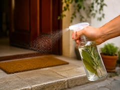 Rociar agua con romero y laurel en la entrada de casa: para qué sirve y por qué lo recomiendan