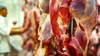 En 1960 fue erradicado de todo el país: 66 años después regresó y amenaza con hacer incomprable la carne en Estados Unidos