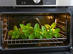 Poner hojas de menta en el horno y el microondas: por qué lo recomiendan y para qué sirve
