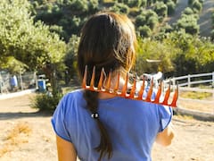 Buscan voluntarios para vivir gratis en un rincón del Mediterráneo italiano: ofrecen alojamiento y comida gratuitos por 4 horas de trabajo al día