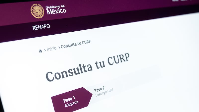 Página web para consultar la CURP.