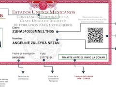 Ya es oficial | Hay que actualizar la CURP cuanto antes y así puedes hacerlo