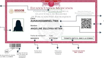 Ya es oficial | Hay que actualizar la CURP cuanto antes y así puedes hacerlo