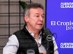 Aluvión de dólares: este es el sector que promete u$s 1000 millones en 2027, según Daniel Artana