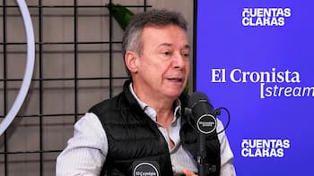 Aluvión de dólares: este es el sector que promete u$s 1000 millones en 2027, según Artana