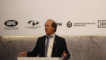 El Gobierno espera que se presenten 20 inversiones más al RIGI