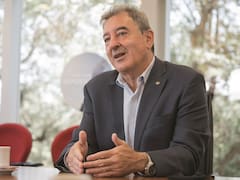 Autos chinos vs. nacionales: el CEO de una importante automotriz anticipó qué pasará con la industria
