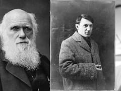 Picasso nació cuando Darwin aún vivía y murió después de que naciera Eminem: ¿cuántos años vivió el pintor español?