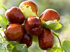 Ni higos, ni nueces: la fruta que ayuda a prevenir el Alzheimer y aporta mucha energía