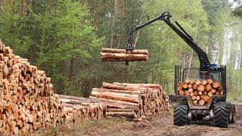 Ley de Bosques: el mapa del conflicto provincia por provincia y qué sectores se benefician
