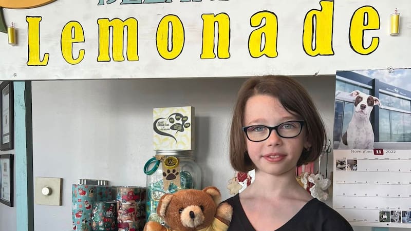 La iniciativa de Delanie Denis llegó a recaudar más de USD 61.000, además de impulsar actividades vinculadas con la adopción y el bienestar animal. (Fuente: Delanie's Lemonade Stand Facebook)