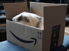 Así compra la Gen Z en línea: como un ‘consumidor intencional’, según Globant