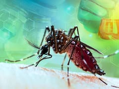 Alerta por dengue en Colombia: reportan siete muertes y advierten por el aumento de casos en Meta