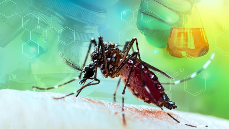 Meta acumula más de 12.000 casos de dengue registrados durante 2026.
