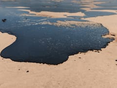 Se avecina un derrame de petróleo histórico que terminará con la vida de todos: advierten crisis ambiental y peligro extremo